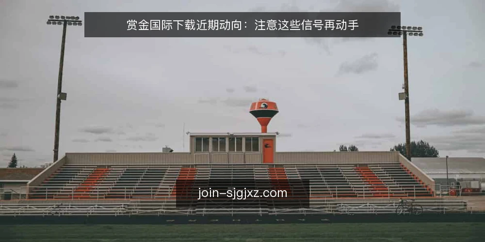 赏金国际下载近期动向：注意这些信号再动手 — 当前下载环境的变化 配图