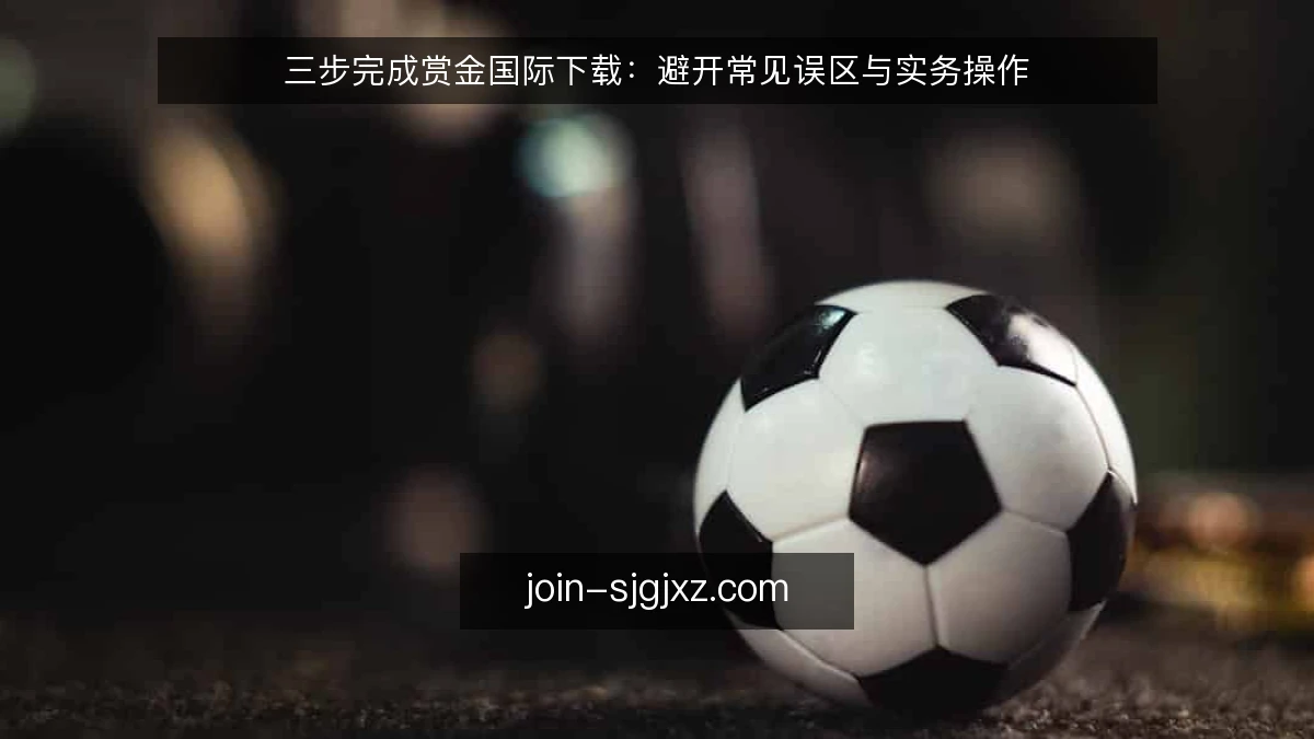 三步完成赏金国际下载：避开常见误区与实务操作