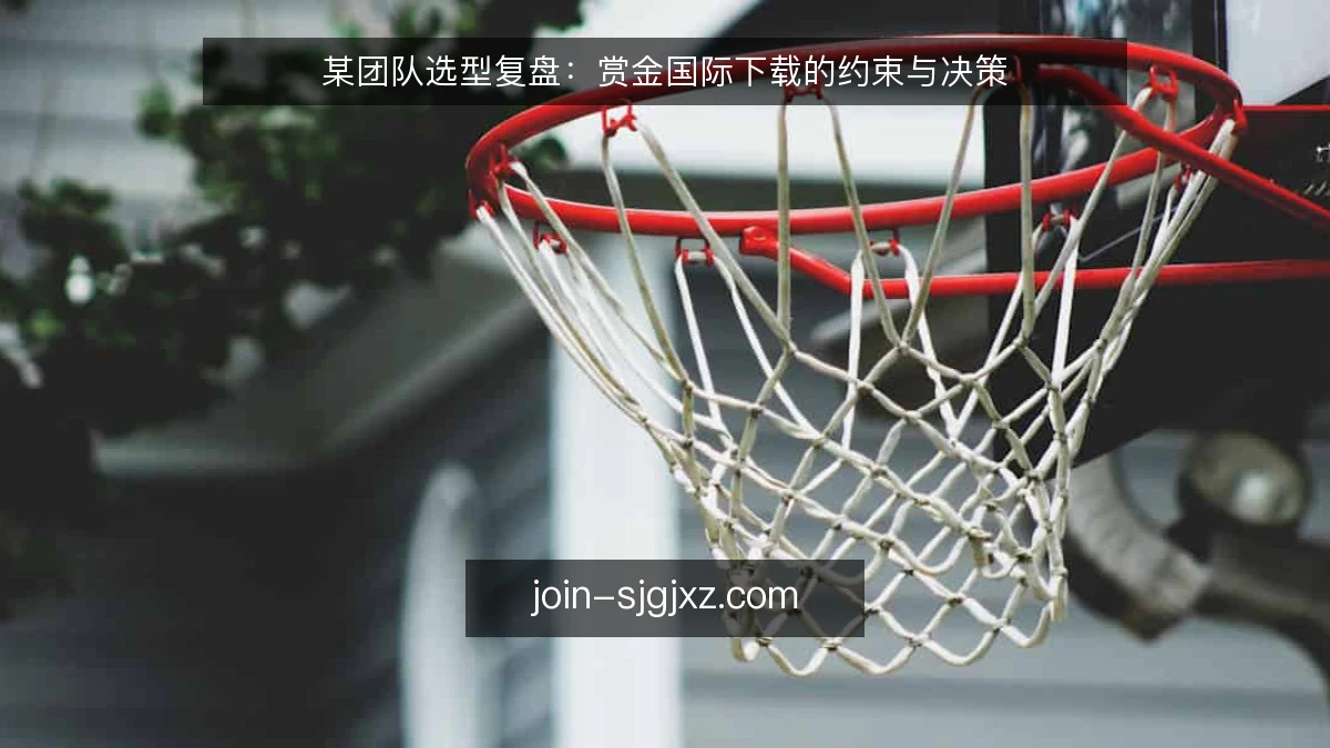 某团队选型复盘:赏金国际下载的约束与决策