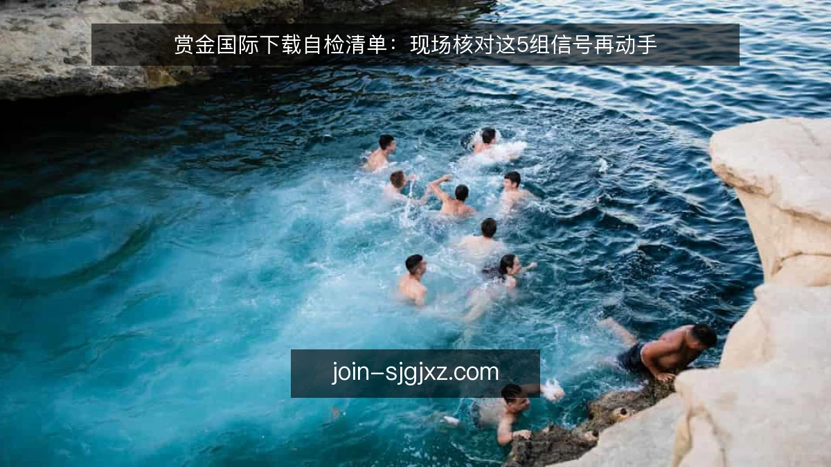赏金国际下载自检清单：现场核对这5组信号再动手