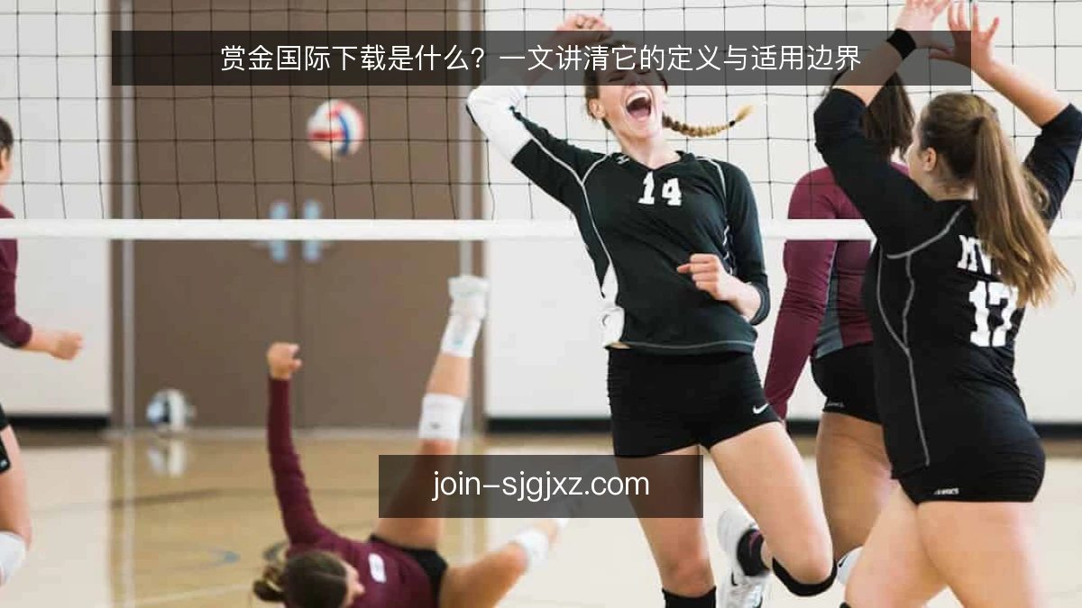 赏金国际下载是什么?一文讲清它的定义与适用边界