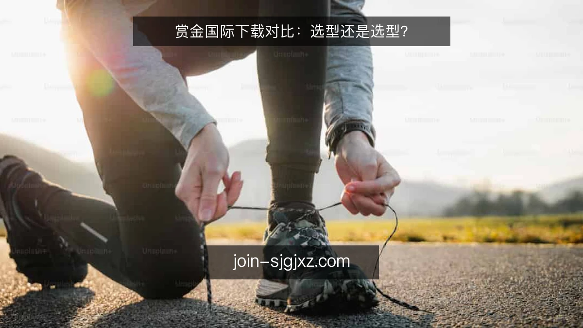 赏金国际下载对比:选型还是选型?