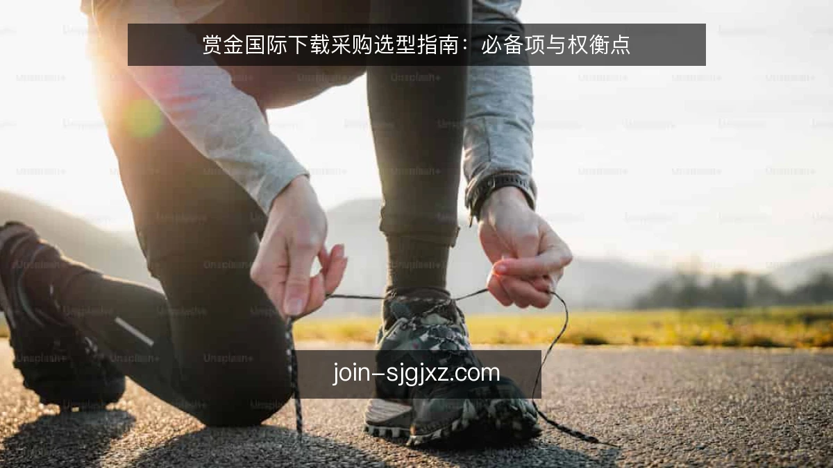 赏金国际下载采购选型指南：必备项与权衡点