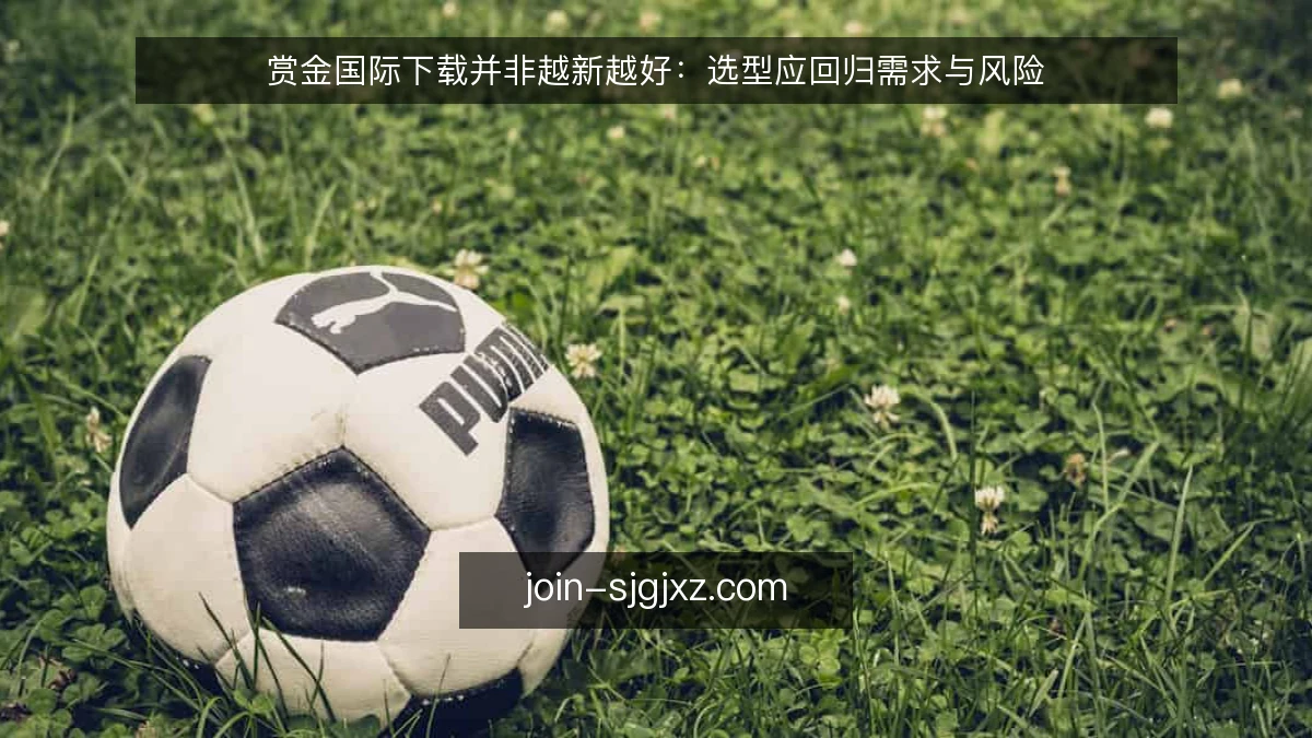 赏金国际下载并非越新越好:选型应回归需求与风险