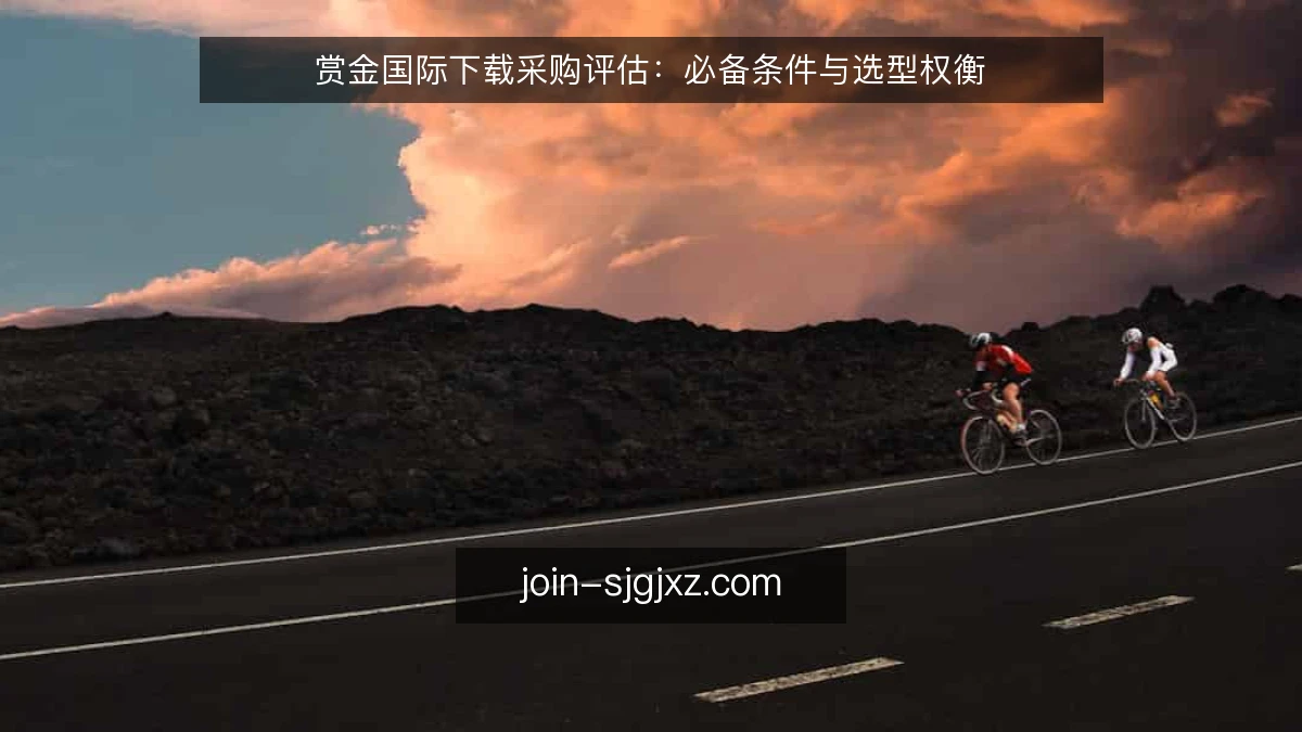 赏金国际下载采购评估：必备条件与选型权衡